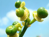 2012.05.30.