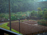 めぐみの雨2012.08.18