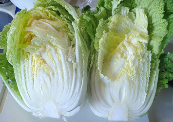 さとぶき622.2019.12.27