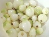 タマネギ2011.05.25