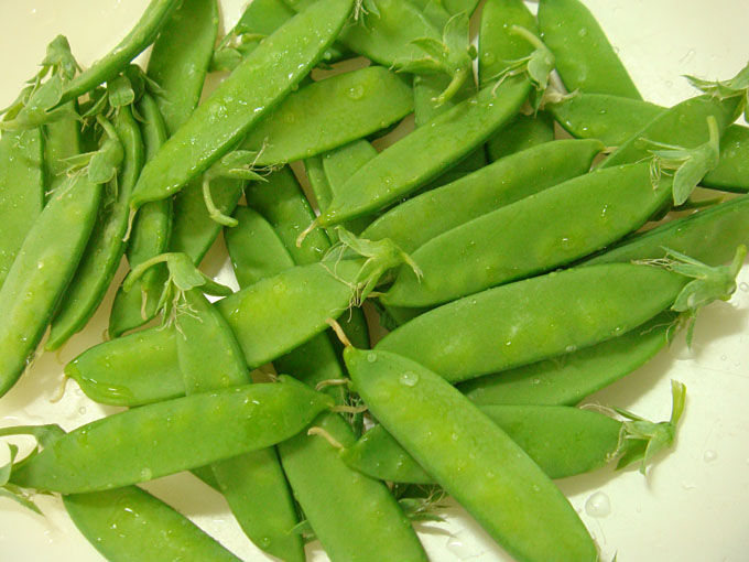 教えてください スナップエンドウとキヌサヤエンドウの見分け法 フジリンゴが開花 Heyモーの家庭菜園を楽しむ 教えてください スナップエンドウとキヌサヤエンドウの見分け法 フジリンゴが開花 Heyモーの家庭菜園を楽しむ