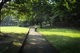 ウォーキング2010.07.24.jpg