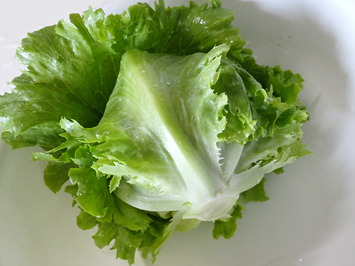 P4287548