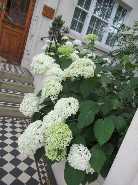 20190630142604_IMG_0201