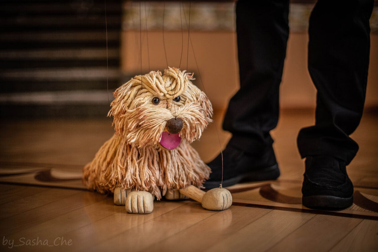 モフィー　マリオネット モフィーマリオネット