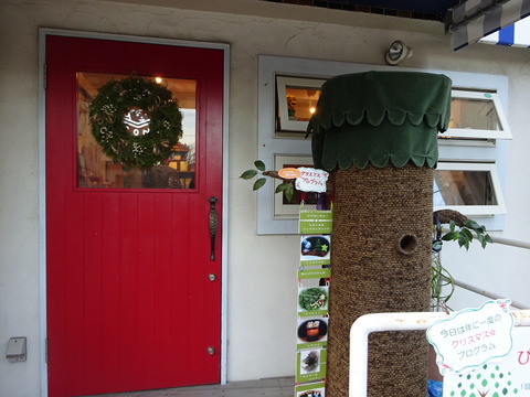DSC03079