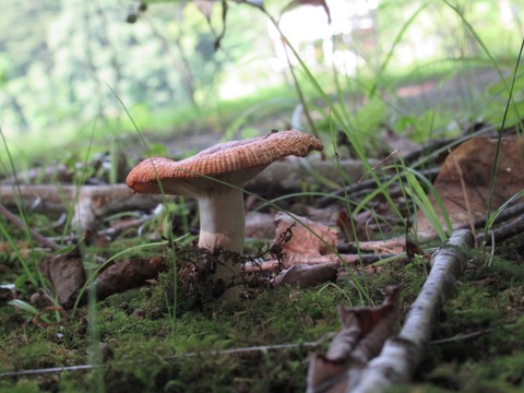 20190817151509_IMG_1066