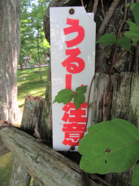 20190817151613_IMG_1069