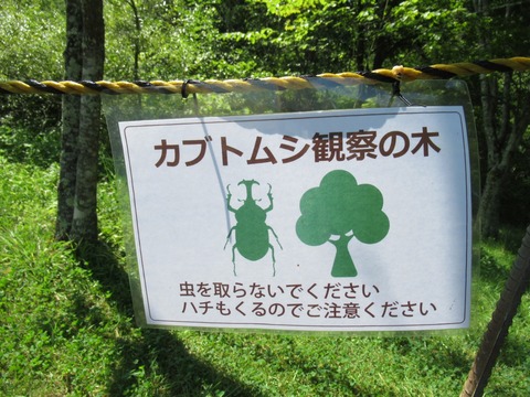 20190817135200_IMG_1045