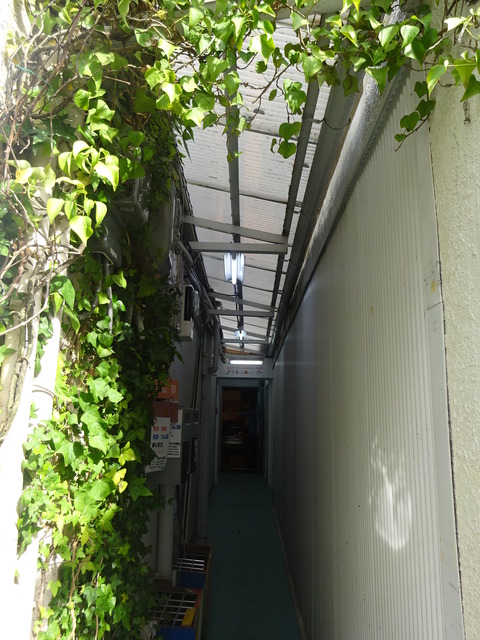 DSC06342