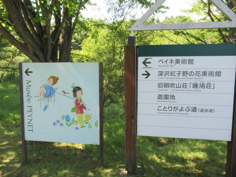 20190817134936_IMG_1041