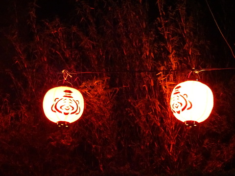 DSC03361