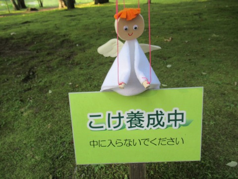 20190817170413_IMG_1104