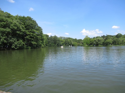 20190817135129_IMG_1044