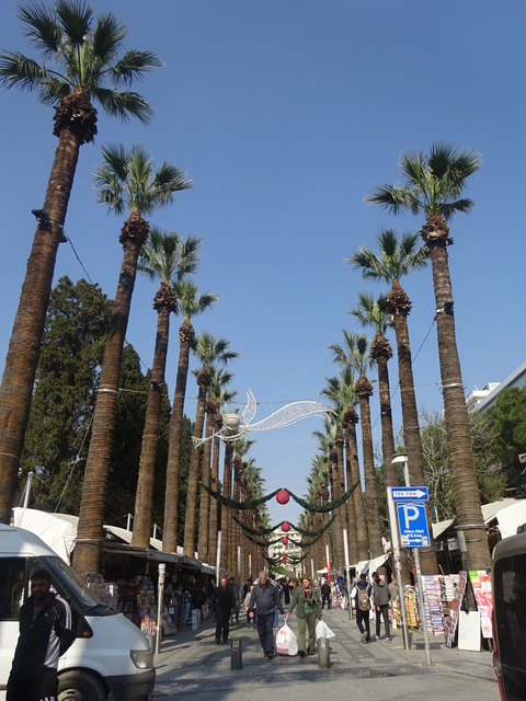 DSC06062