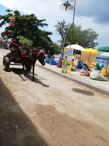 IMG_20190413_122612_1