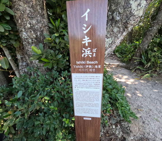 GOPR0622