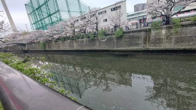 IMG20260405135740