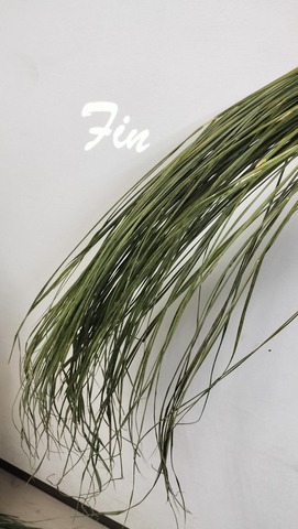 IMG20241217201015