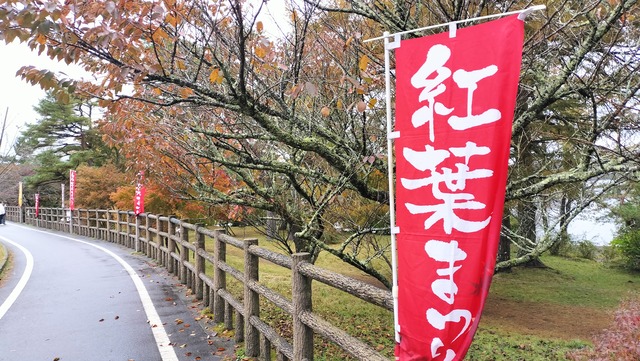 IMG20241110113857