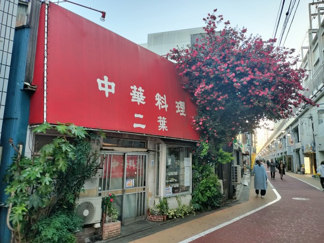 IMG20240101161641