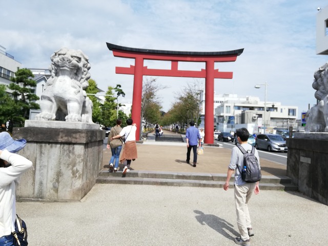 IMG_20201003_115324