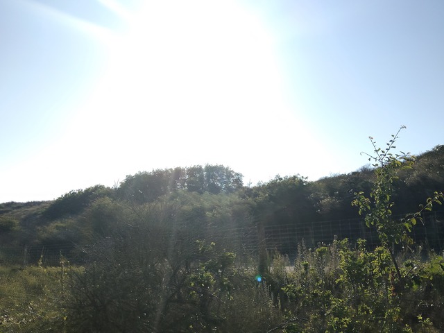 IMG20260711184927