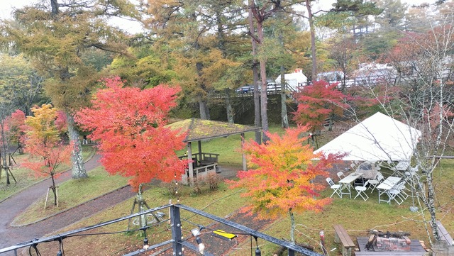 IMG20241110124044