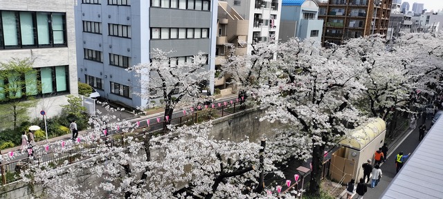 IMG20240407122100_01