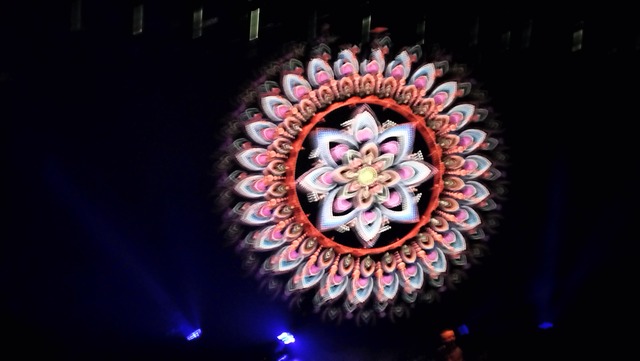 IMG20241215042943