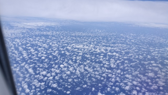 IMG20240614122223