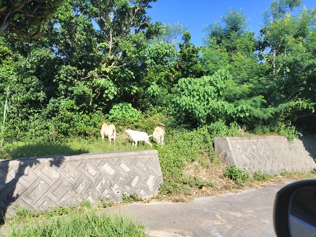 IMG20230923161824