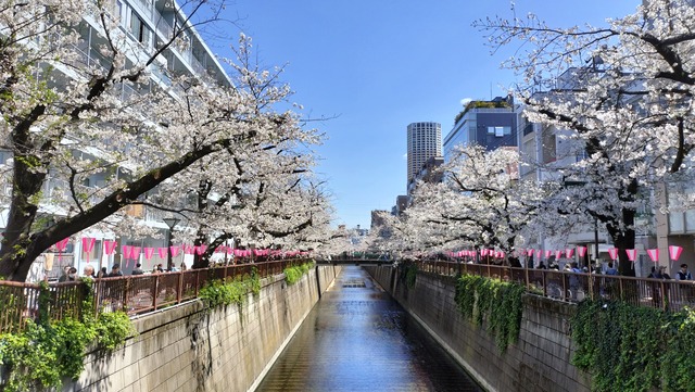 IMG20250404124341