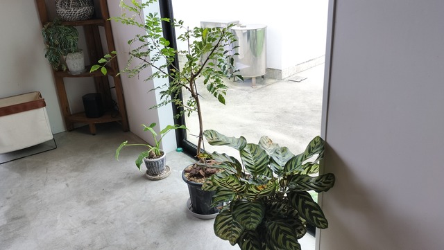 IMG20240630124213