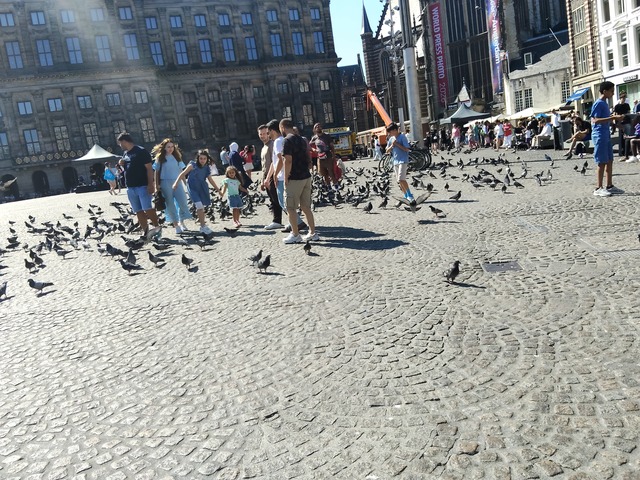 IMG20260710162857
