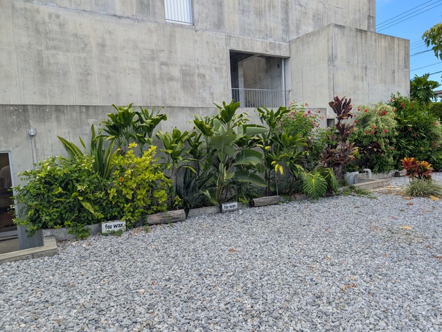 PXL_20250907_062936502.MP