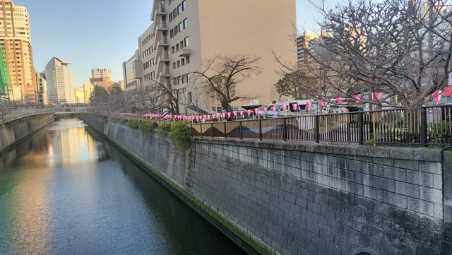 IMG20260314170816