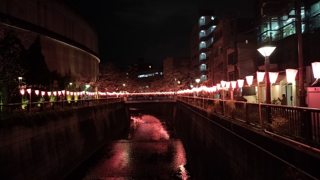 IMG20250330185455