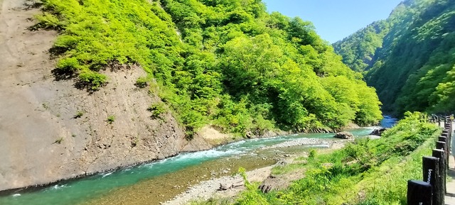 IMG20240504141541