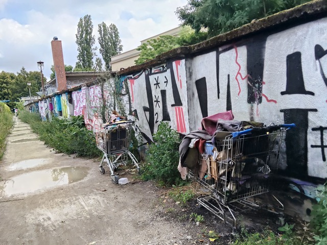 IMG20260718115324