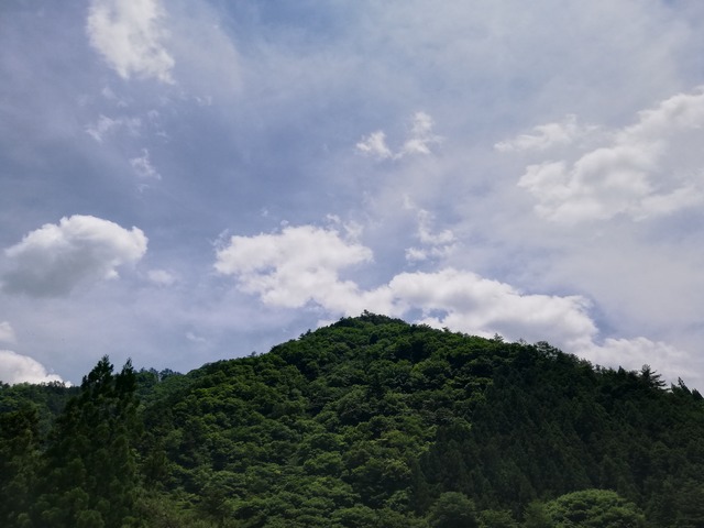 IMG_20220619_120819