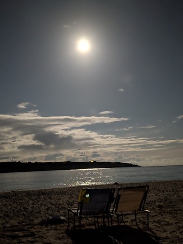 PXL_20250907_194804586.NIGHT