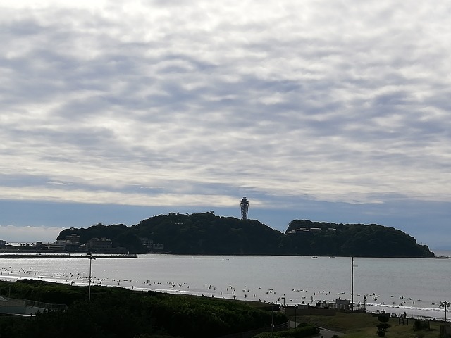 IMG_20201018_095155