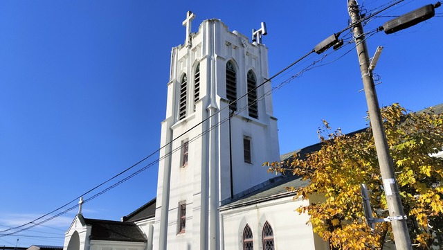 IMG20241104092837