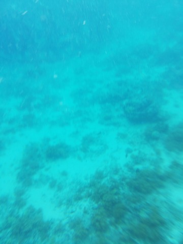 IMG_20190413_134341_BURST001_COVER