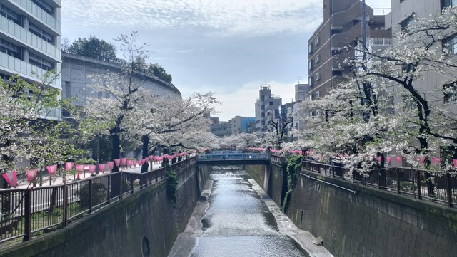 IMG20260405091257