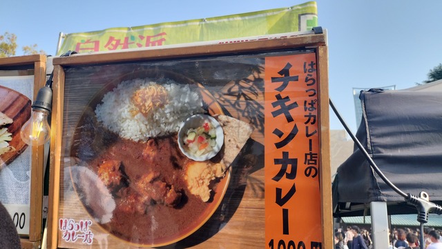 IMG20260329155656