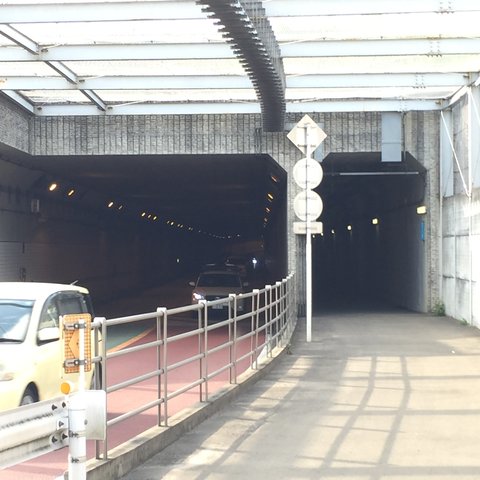 56f96249
