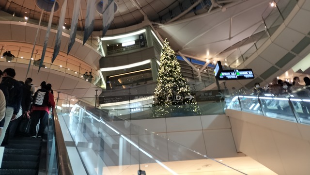 IMG20241102164321