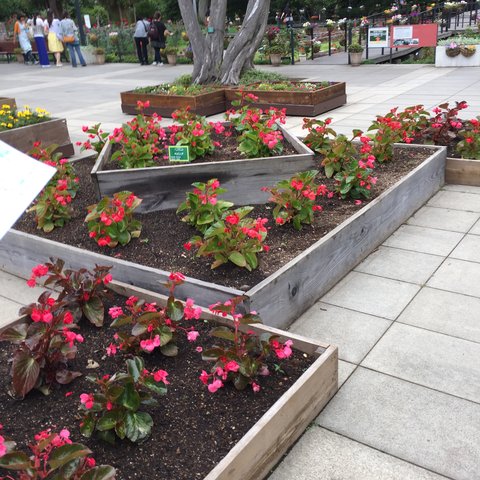 IMG_0892